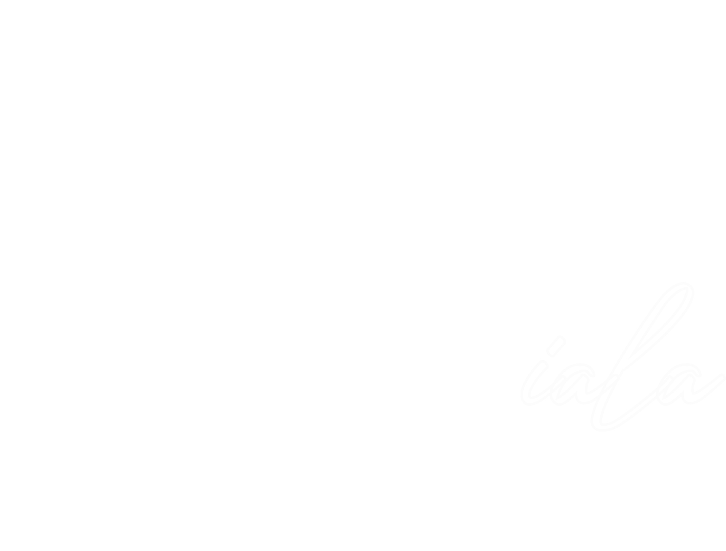 Logo FSV